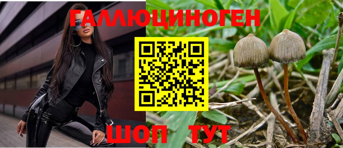 Галлюциногенные грибы MAGIC MUSHROOMS  Псилоцибиновые грибы прущие грибы  Вход с VPN  Крымск 